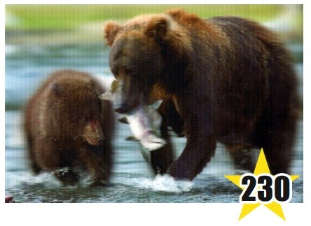 Магнит 3D 15х21 №230 Медведица с рыбой и медвежонок слева - фото 4699