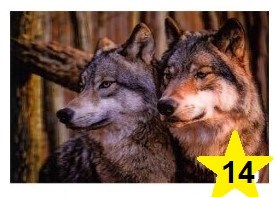 Магнит 3D 10х15 №14 Волк и волчица в профиль
