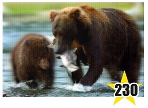 Магнит 3D 15х21 №230 Медведица с рыбой и медвежонок слева