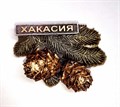 Магнит Хакасия Кедровая ветка - фото 4624