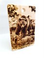 Доска  Кедр 28,5*18см Саяногорск Медведица с медвежатами у реки - фото 5080